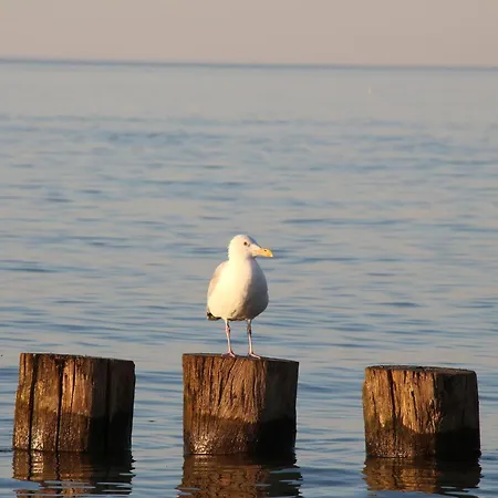 Apartmán Gemuetliche Auf Der Insel Poel